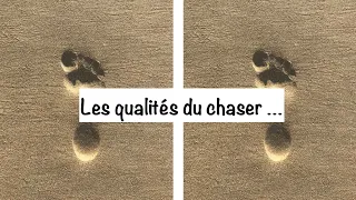 Flamme jumelle : Les qualités du chaser ...