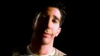 David Schwimmer The More You Know 1996