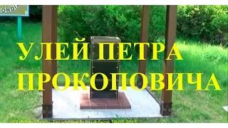 Улей-Памятник Пчеловода Петру Прокоповичу в Институте Пчеловодства  Киев Украина