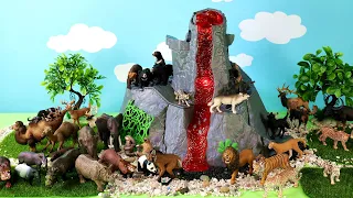 Fun Volcano Diorama and Wild Animal Figurines