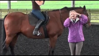 Mary Wanless and the influence of the rider on the horse's back muscles. HorseSaddleRider.com