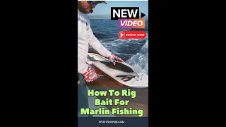 How To Rig Bait For Marlin Fishing - Offshore Marlin Fishing 101