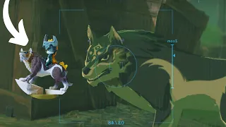 The real reason why Wolf Link was removed…