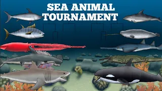 SEA ANIMAL TOURNAMENT - ANIMATION