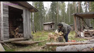 В тайгу на три дня. Май 2020. 7 серия. Тулан удивляет, мой урок начал работать.