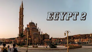 Family holiday in Egypt AGAIN, plus hotel review of Royal Albatros Moderna Sharm el-Sheikh