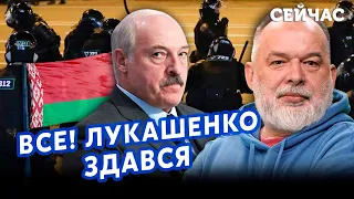 ⚡️ШЕЙТЕЛЬМАН: Ого! Лукашенко ЙДЕ у ВІДСТАВКУ. Владу ВІДДАДУТЬ Медведчуку. Білорусі КІНЕЦЬ@sheitelman