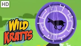 Wild Kratts 🦁 Dangerous Creature Moments! | Kids Videos