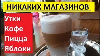 КАКОЙ СОРТ ЯБЛОК? ПИЦЦА "ЧЕТЫРЕ СЕЗОНА" КОФЕ "ЛАТТЕ" КОРМИМ УТОК.