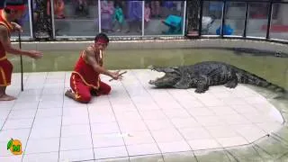 Idiot Tries To Get Bitten By Crocodile