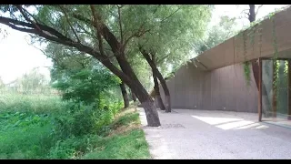 Architizer - Project of the Year 2018 - Waterside Buddist Shrine/ARCHSTUDIO (Teaser)