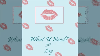 EXO Lay - What U Need? [3D Audio]