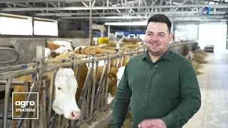 Ferma familiei Enescu: vaci productive, roboți de muls și făbricuță de brânzeturi artizanale