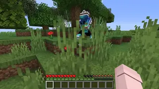 Omg Traps for momo in online minecraft By Scooby Craft