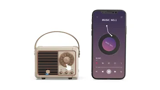 HM11 Video of Portable Wireless Retro Bluetooth Speaker.