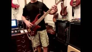 Search And Destroy - Iggy Pop & The Stooges - Bass Cover