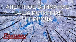 Алертное внимание - ваша истинная природа [Лакшми, озв.Никошо]