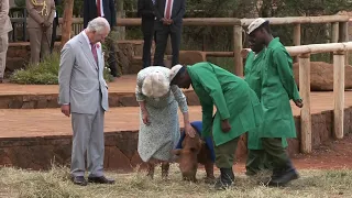 King Charles joins Camilla at Sheldrick Wildlife Trust in Nairobi | AFP