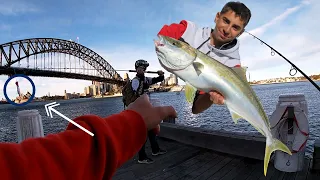 BIG KINGFISH, LIGHT TACKLE - Fishing Sydney Harbour