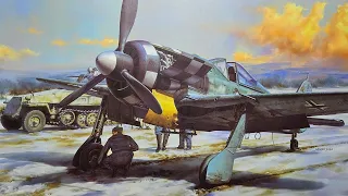 1/35 Focke Wulf Fw-190A by Border Model Video Review