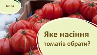 Яке насіння томатів обрати у 2024 році?