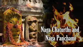 Naga Panchami & Naga Chaturthi: Power Days to Remove Snake Curses