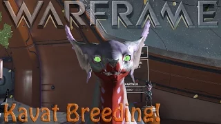 Warframe - Kavat Breeding Basics