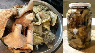 Как солить грузди грибы на зиму | Как приготовить грибы грузди