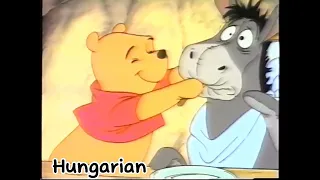 The New Adventure Of Winnie The Pooh (European Languages)