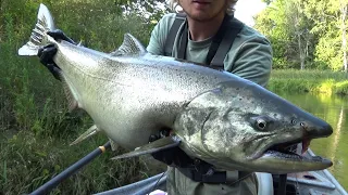 Clear Water BOBBER DOWN King Salmon Action