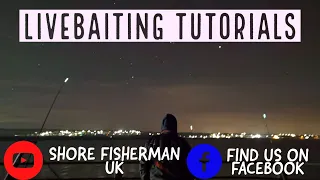 ( UK SEA FISHING )  HOW TO LIVEBAIT WHITING FOR BASS, CONGERS AND COD IN THE UK