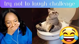 Try Not to Laugh - Funny Cat & Dog Vines Compilation 2017 REACTION