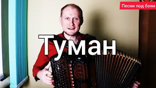 Туман (Сектор газа). Песни под баян. #Баянист_Евгений_Попов