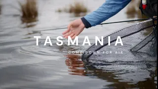 Wild Brown Trout in Little Pine Lagoon | Fly Fishing | Discover Tasmania