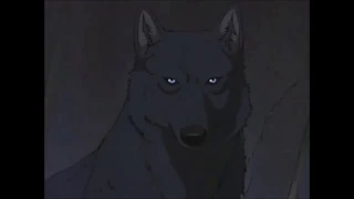 [AMV] Wolf's Rain - Stray + Cheza song