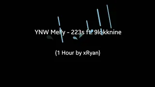 YNW Melly - 223s ft. 9lokknine (1 HOUR)