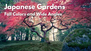 Fall Colors at the Portland Japanese Gardens