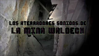 Los aterradores sonidos de la Mina Waldeck