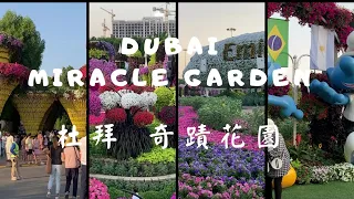 Dubai Miracle Garden  杜拜奇蹟花園