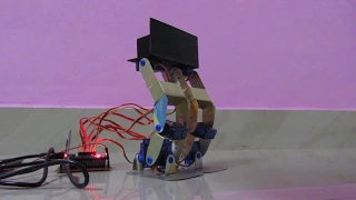 Arduino 8DOF Humanoid First Test