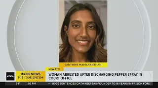 Woman arrested after pepper spraying court employees in Munhall