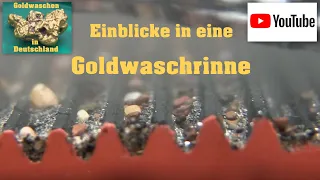 Goldwaschen in Deutschland ( 122 ) Einblicke in eine Goldwaschrinne