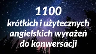 1100 krótkich i użytecznych angielskich wyrażeń do konwersacji (for Polish Speakers)