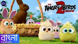 The Angry Birds Movie 2 (2019) Review and Explanation