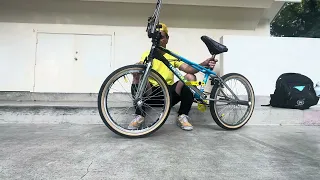2017 Haro Master bike check