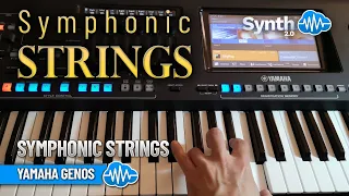 SYMPHONIC STRINGS (60 sounds)| YAMAHA GENOS / 2 | SOUND LIBRARY | PSR SX 700 - 900 Series / Tyros 5