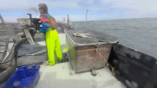 Commercial shark fishing Bass Strait - Hauling