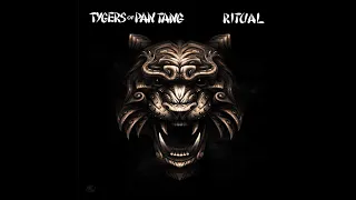 Tygers of Pan Tang Ritual Review