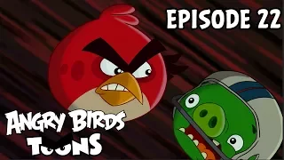 Angry Birds Toons | Eggs' Day Out - S1 Ep22