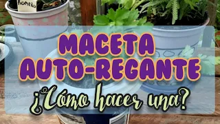 ¿Cómo hacer una maceta autoregante?